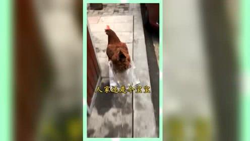 吃瓜群众娱乐版下载,揭秘娱乐圈幕后故事,带你领略明星幕后生活